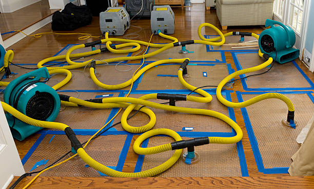 Professional Structural Drying And Dehumidification technician working in Turin, GA